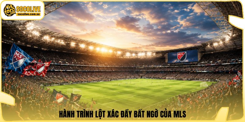 Hành trình lột xác đầy bất ngờ của MLS
