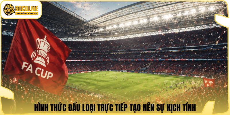 Hình thức đấu loại trực tiếp tạo nên sự kịch tính