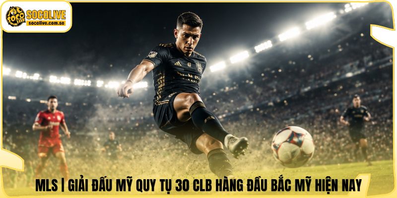 MLS | Giải Đấu Mỹ Quy Tụ 30 CLB Hàng Đầu Bắc Mỹ Hiện Nay