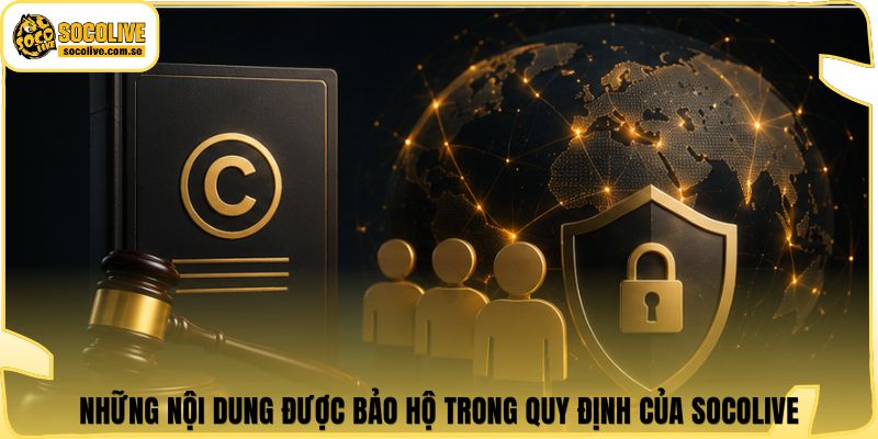 Những nội dung được bảo hộ trong quy định của Socolive
