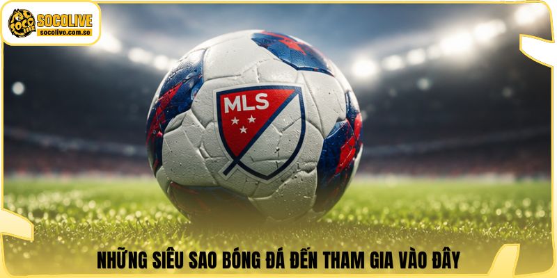 Những siêu sao bóng đá đến tham gia vào đây