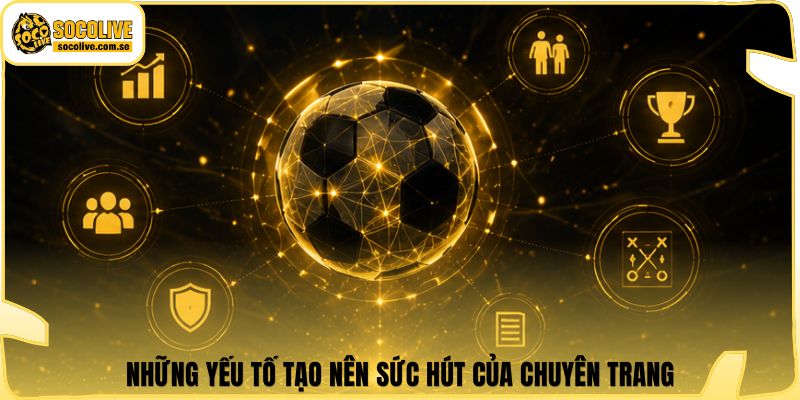 Những yếu tố tạo nên sức hút của chuyên trang