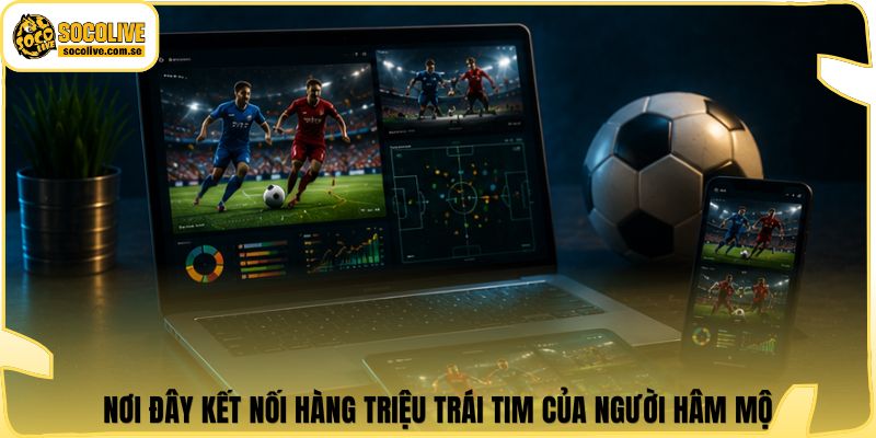 Nơi đây kết nối hàng triệu trái tim của người hâm mộ