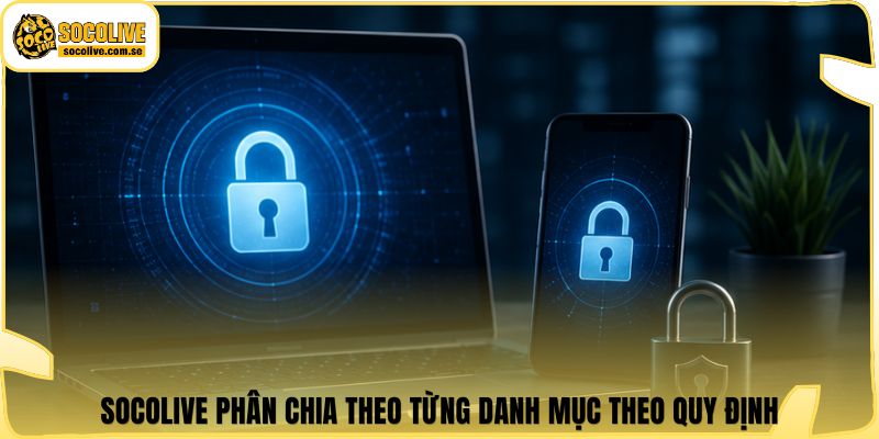 Socolive phân chia theo từng danh mục theo quy định